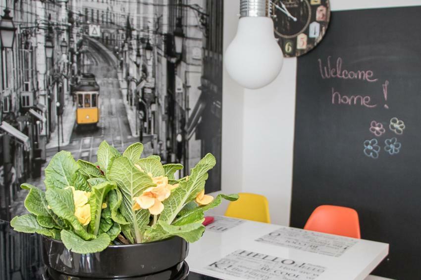 Apartment Travel Hub *** 바라즈딘 외부 사진